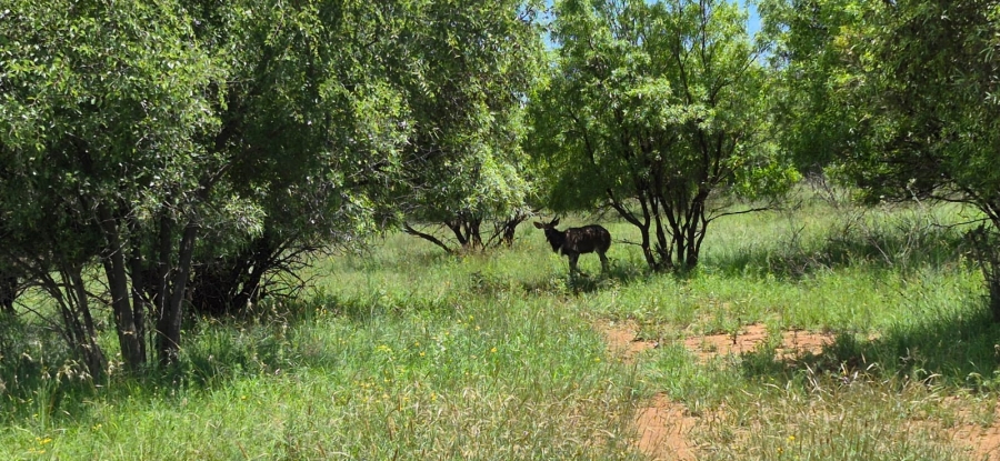 5 Bedroom Property for Sale in Rustenburg Rural North West